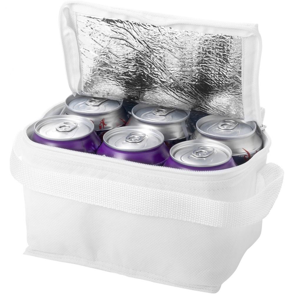 Logotrade promotional merchandise picture of: Spectrum 6-can cooler bag 4L