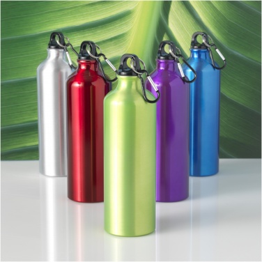 Logotrade promotional giveaway image of: Oregon 770 ml aluminium water bottle with carabiner