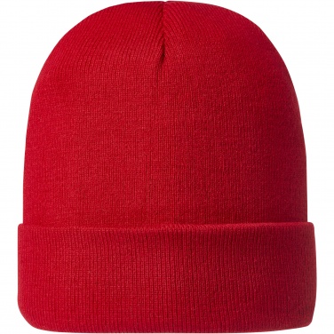 Logo trade promotional item photo of: Irwin beanie
