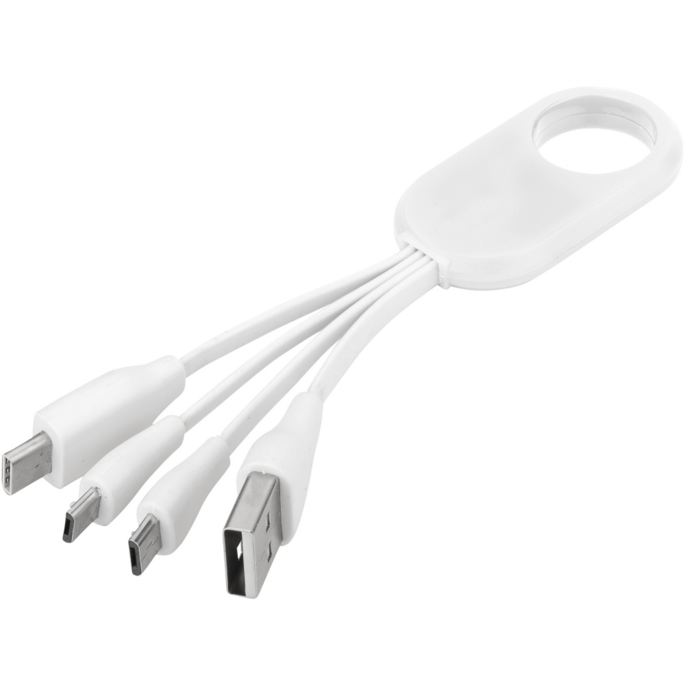 Logo trade promotional gift photo of: Troup 4-in-1 charging cable with type-C tip