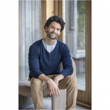 Logotrade promotional merchandise image of: Stanton men's v-neck pullover