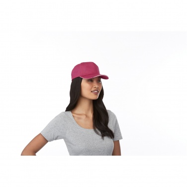 Logo trade promotional giveaway photo of: Styx 5 panel sandwich cap