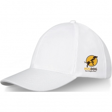 Logotrade promotional item image of: Drake 6 panel trucker cap