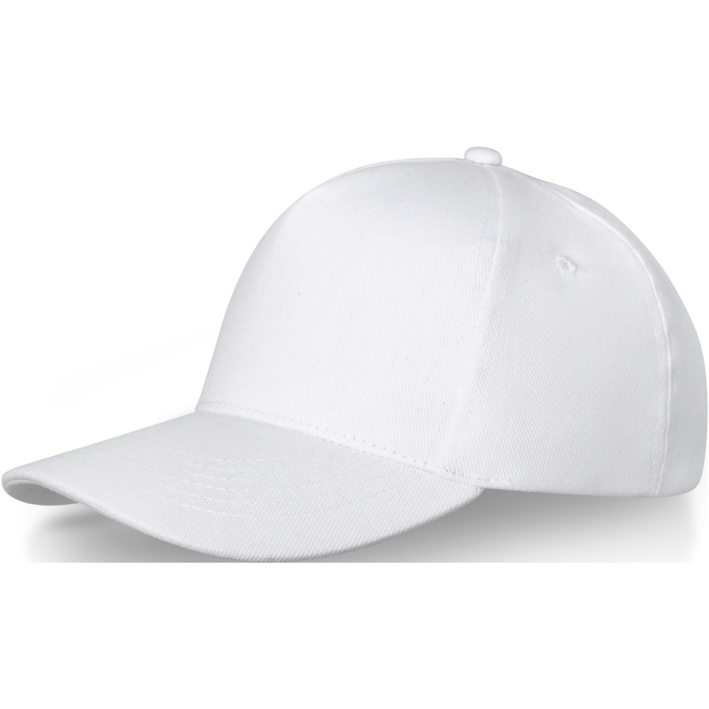 Logotrade promotional gift picture of: Doyle 5 panel cap