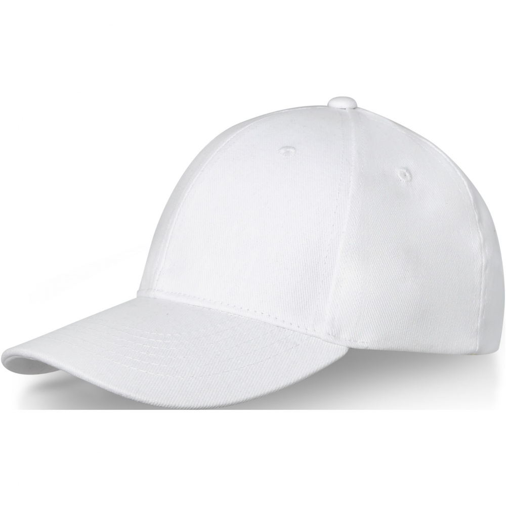 Logotrade promotional merchandise image of: Davis 6 panel cap