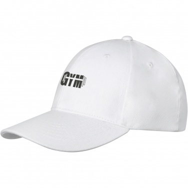 Logotrade promotional merchandise image of: Davis 6 panel cap