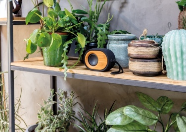 Logotrade promotional giveaway picture of: Bamboo X  speaker