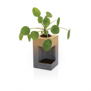 Logotrade promotional item image of: Avira Alya RCS Re-steel tumbler 300 ml