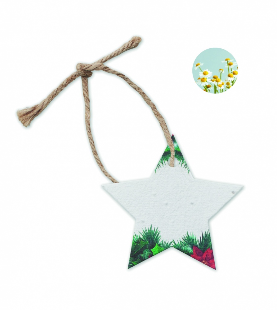 Logo trade promotional merchandise photo of: Seed paper Xmas ornament
