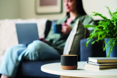 Logotrade corporate gifts photo of: Cork and aluminium speaker