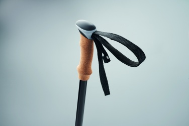 Logotrade promotional giveaway picture of: Nordic walking poles