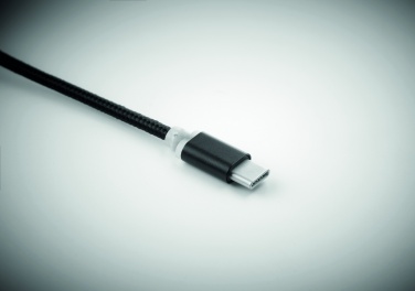 Logo trade corporate gifts picture of: key ring with USB type C cable Salaspils