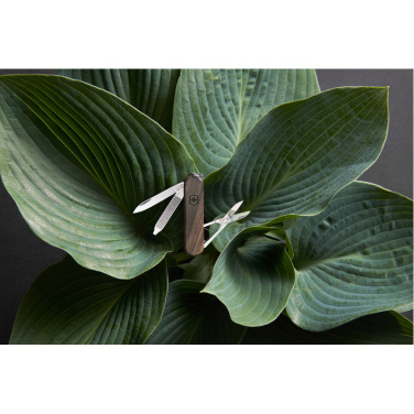 Logo trade promotional products image of: Pocket knife CLASSIC SD Victorinox