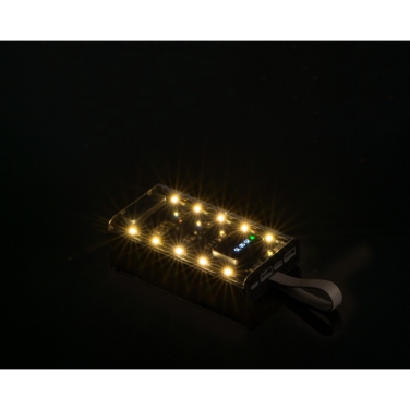 Logotrade promotional giveaways photo of: Power bank 10 000 mAh DARWIN