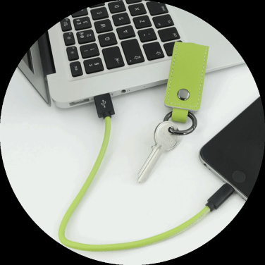 Logo trade promotional giveaways image of: Keyring 59612900