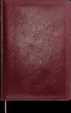 Logotrade corporate gift picture of: Calendar 645131