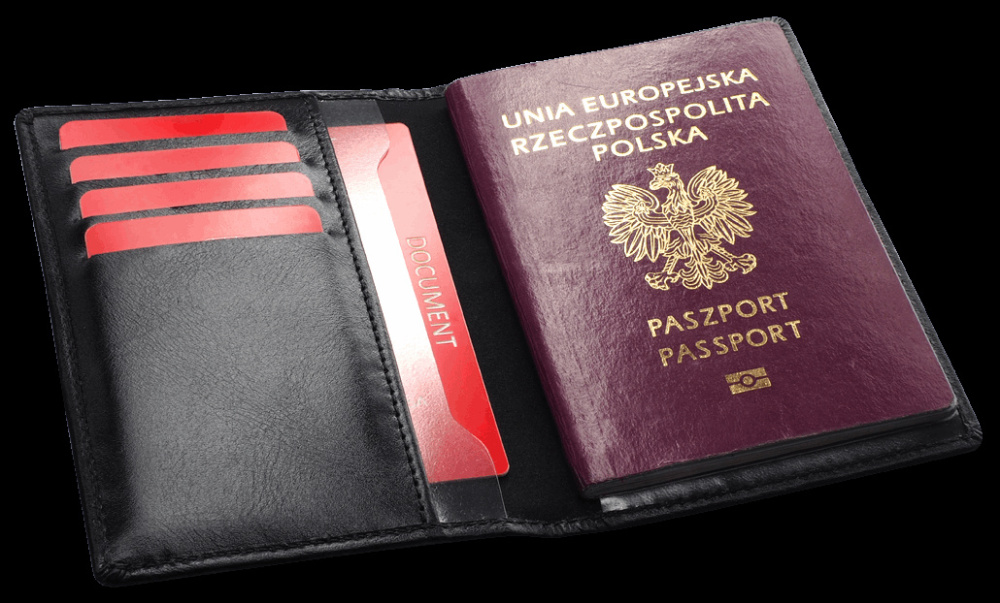 Logotrade promotional item image of: RFID passport case 1301131