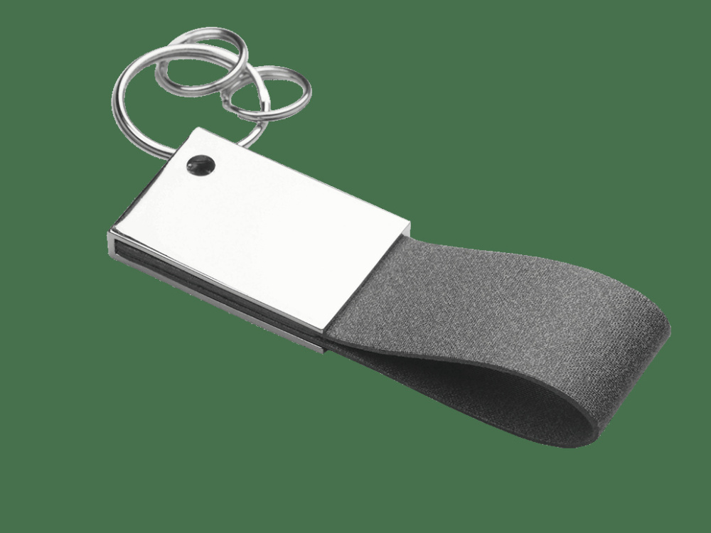 Logotrade promotional product image of: Keyring 909323