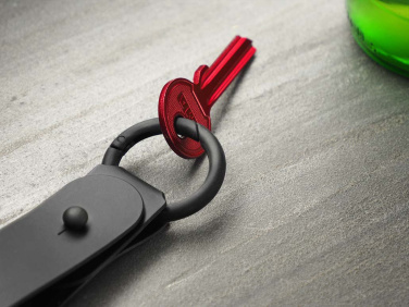 Logotrade promotional product image of: Keyring 1709094