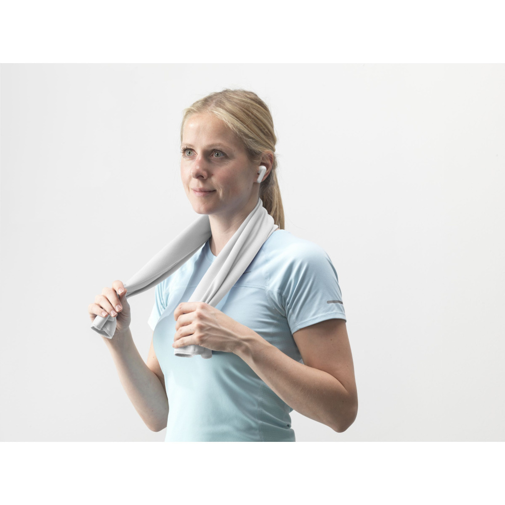 Logotrade corporate gift image of: CoolDown RPET sports cooling towel