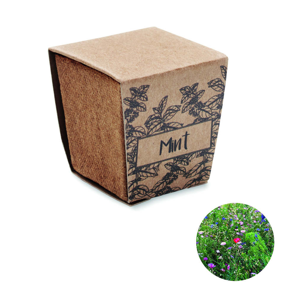 Logotrade promotional items photo of: Mint seeds growing kit
