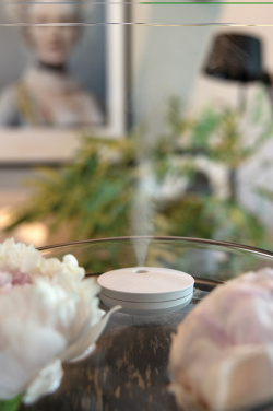 Logo trade promotional merchandise picture of: Breevia RCS rplasic re-chargeable floating humidifier