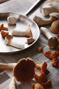 Logotrade reklaamkingid pilt: VINGA Vici välipann