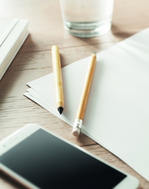 Logotrade meene foto: Kauakestev tindita pliiats