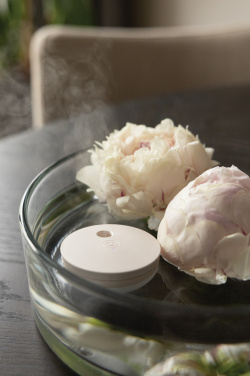 Logotrade firmakingid pilt: Breevia RCS plastikust laetav ujuv õhuniisutaja