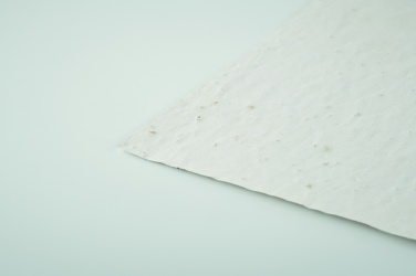 Logo trade mainoslahja kuva: Niittykukan siemeniä A6