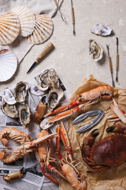 Logo trade mainostuote kuva: VINGA Story of Seafood