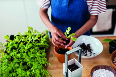 Logotrade mainostuote tuotekuva: Sisäpuutarha LED-valolla