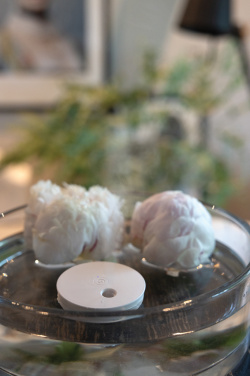 Logotrade dāvanas foto: Breevia RCS plastmasas atkārtoti uzlādējams peldošs mitrinātājs